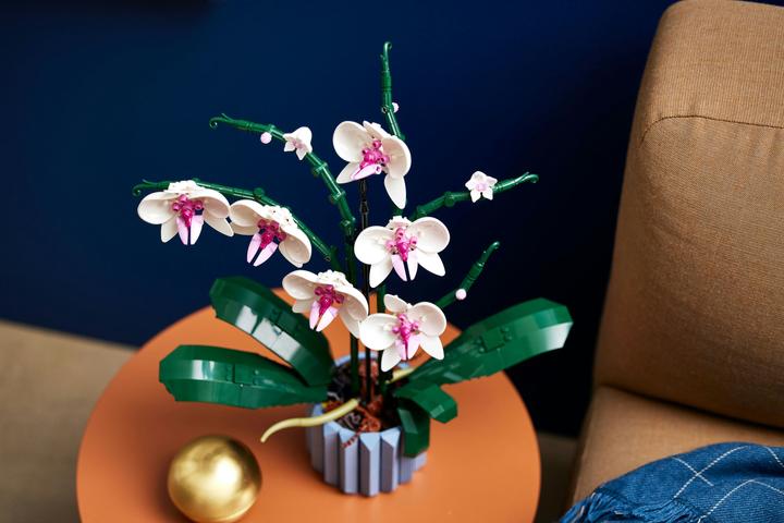 Productafbeelding LEGO Orchidee (10311, LEGO Botanisch)
