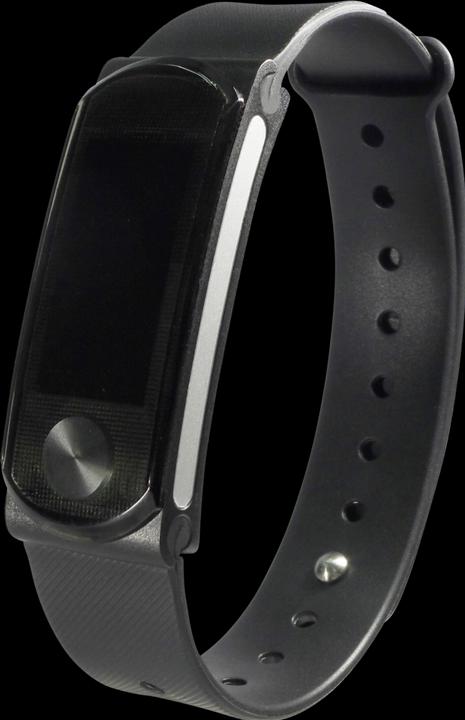 Produktbild swisstone SW 360 HR (44.80 mm)