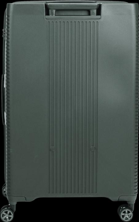 Actual product image Swissbags Magna (112 l, L (90 - 115l))