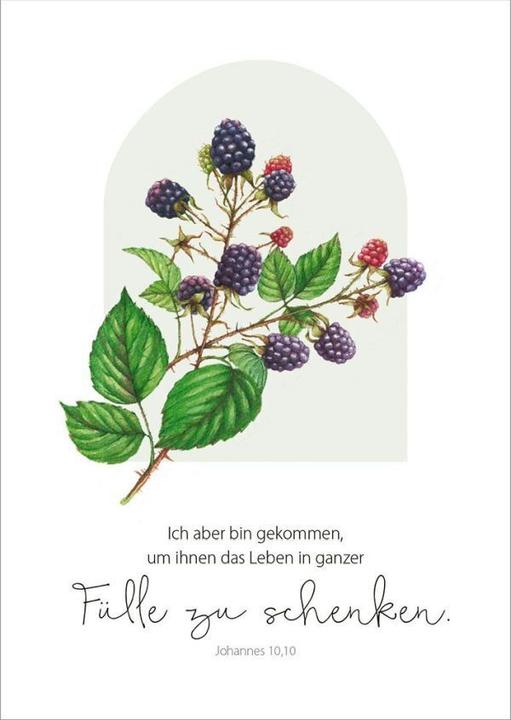 Actual product image GartenGlück - Postcard set (18 pcs.)