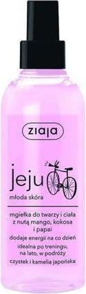 Immagine prodotto Ziaja Nebbia per il corpo e il viso Jeju (cocco, mango, papaya) - Acqua per il corpo (Latte corpo, 200 ml)