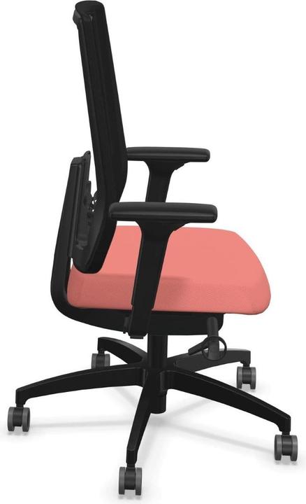 Actual product image Dauphin Indeed Mesh