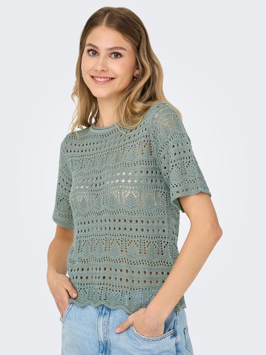 Image du produit JdY JDYSUN Strickpullover Strickpullover (XL)