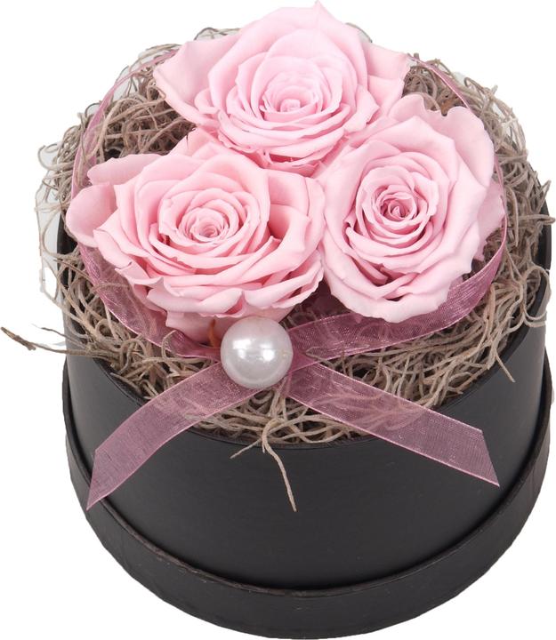 Floramall Infinity Rose Box Pink Small (Infinity Flowers)