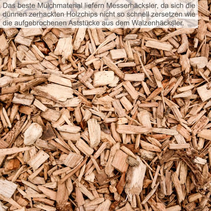 Actual product image Scheppach Astzerkleinerer GS55