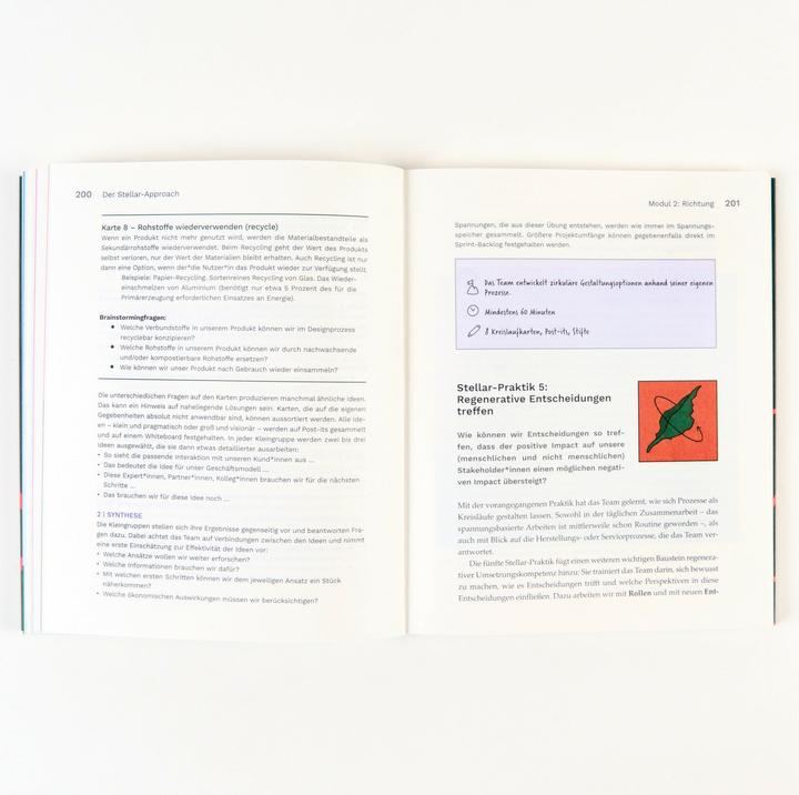 Produktbild Der Stellar-Approach (Deutsch, Ella Lagé, Simon Berkler, 2024)