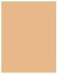 Image du produit Clarins Fond de teint Everlasting n°110.5W Tawny (110,5W Tawny)