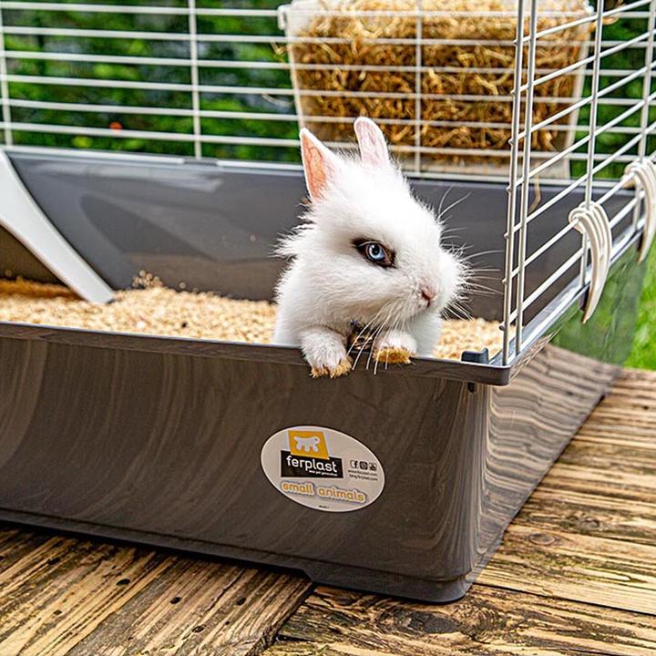 Actual product image Nenurodyta FERPLAST Rabbit 100 - Narva