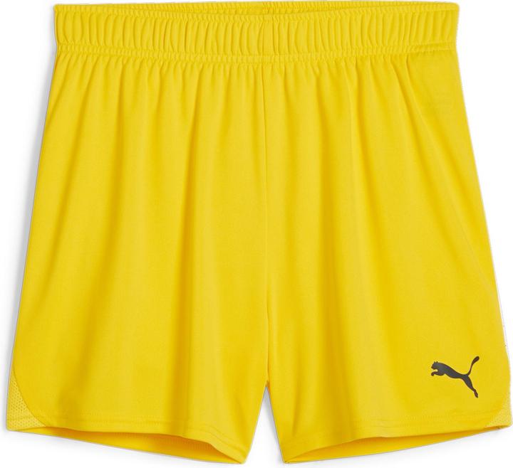 Puma teamGOAL Handball Shorts W