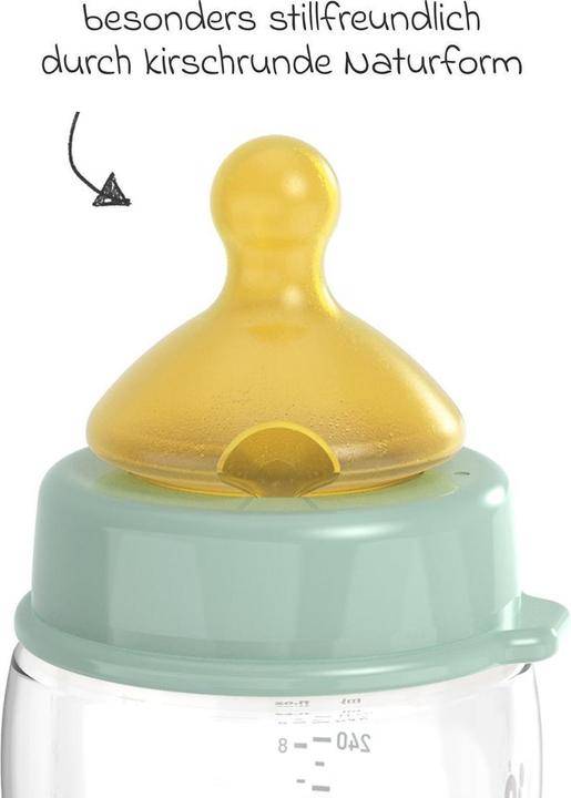 Image du produit NIP Babyflaschen PP-Flasche Cherry Green 260 ml + Latex-Trinksauger (260 ml)