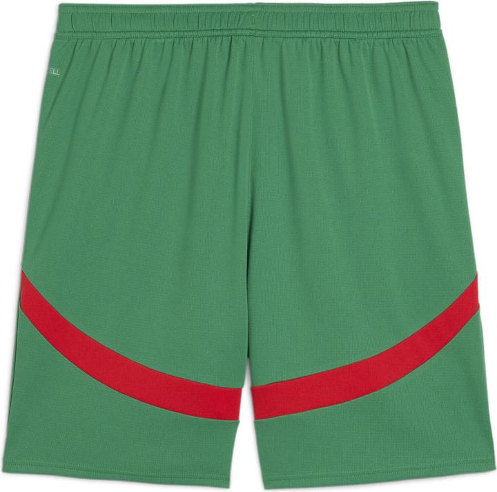 Actual product image Puma atch shorts aroc 2024 (M)