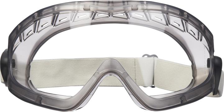 Actual product image 3M Full vision goggles