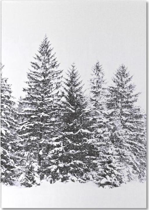 Immagine prodotto Juniqe Alberi neri d'inverno (A5, Righe)