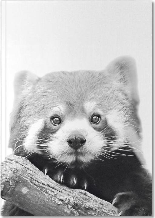 Actual product image Juniqe Red Panda - Wild Animals (A5, Dotted)