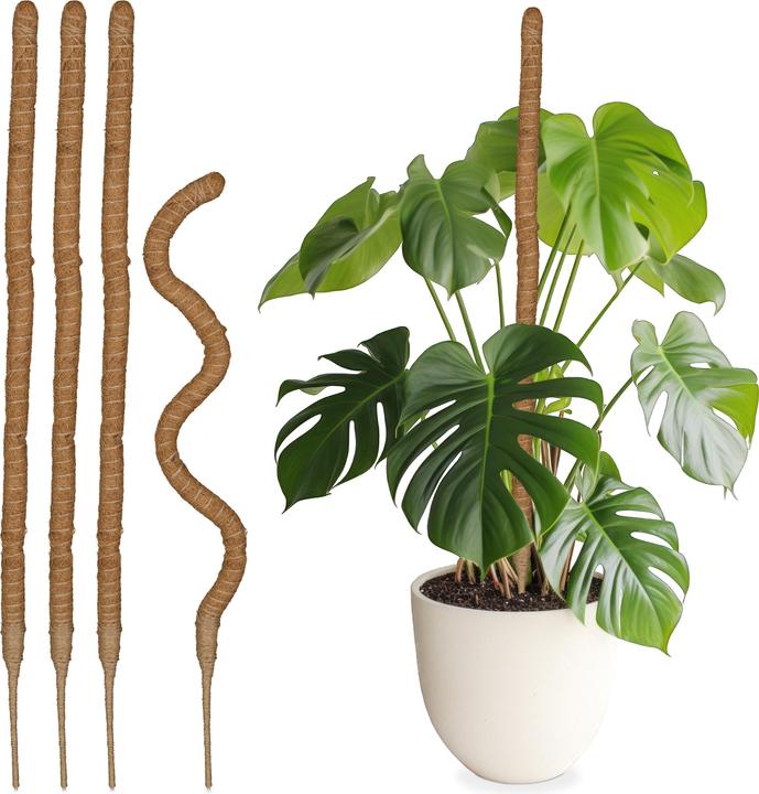 Actual product image Relaxdays 5x coconut sticks (3 cm, 3 cm)