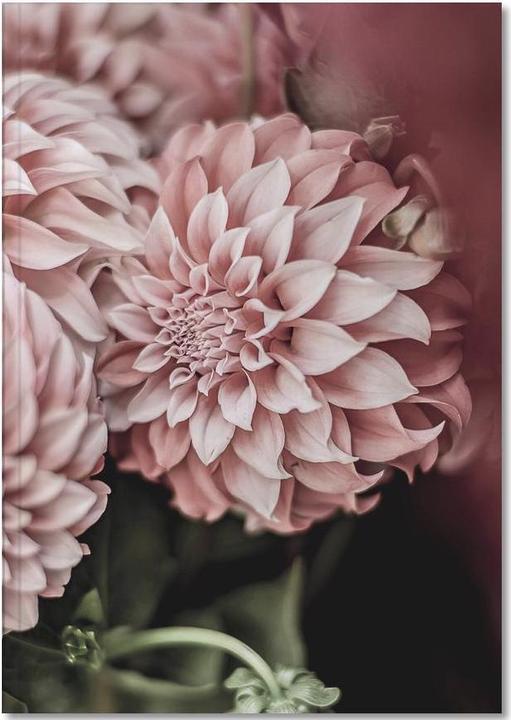 Image du produit Juniqe Flower Market - Nature (A5, Blanc)