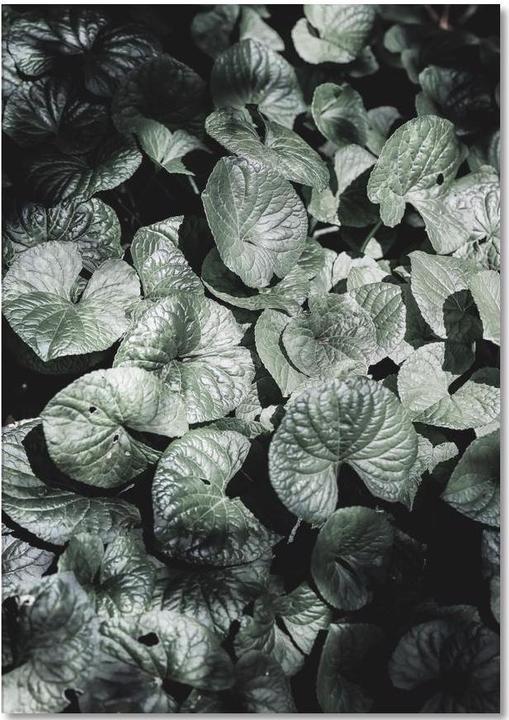 Image du produit Juniqe Forest Floor - Nature (A5, Pointillés)