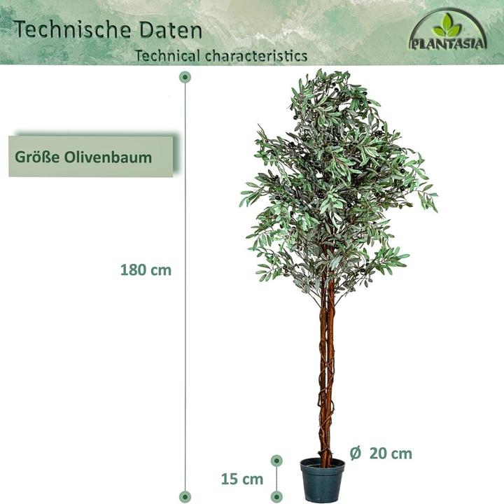 Image du produit Plantasia Olivier (180 cm)