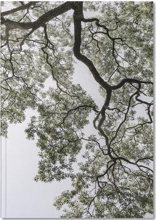 Produktbild Juniqe Coastal Forest - Natur (A5, Blanko)