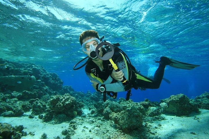 Actual product image Nokta PulseDive