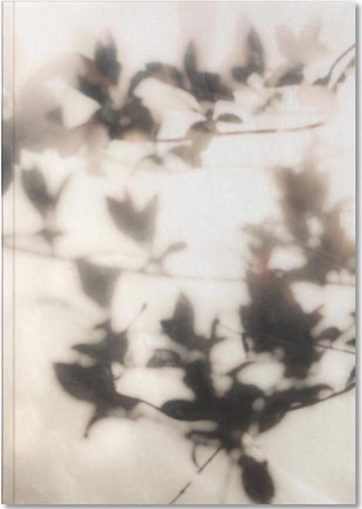 Image du produit Juniqe Summer Shadows 2 - Fleurs (A5, Blanc)