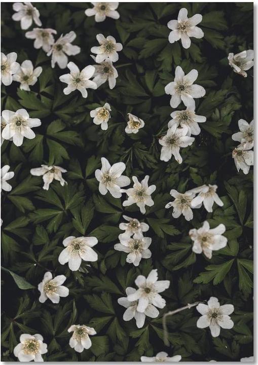 Actual product image Juniqe Tiny Flowers 2 - Flowers (A5, Plain, Hardcover)