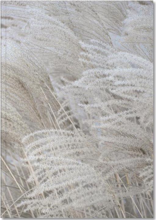 Immagine prodotto Juniqe Bianco Beige Boho Dreams - Paesaggi astratti (A5, Nessuna)