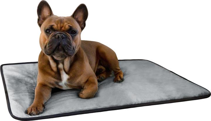 Actual product image Aspero Hanko and Lund Dog Bed and Blanket (Dog)