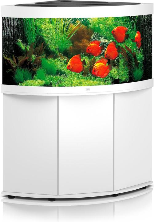 Actual product image Juwel Aquarium Aquarium d'angle Trigon 350, blanc (350 l)