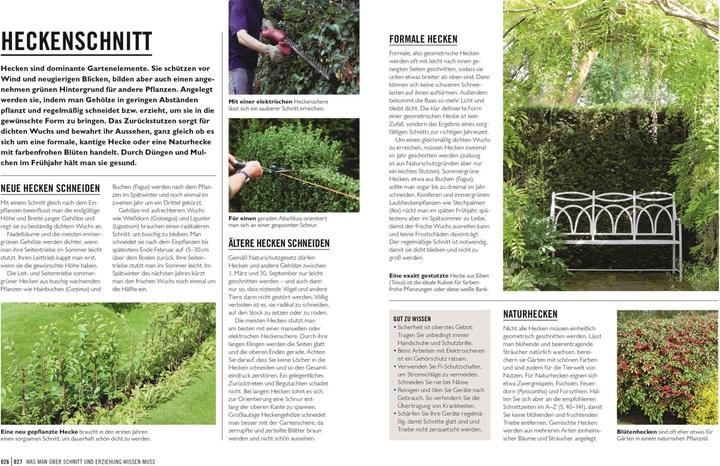 Produktbild Grünes Gartenwissen. Pflanzen richtig schneiden (Deutsch, Reinhard Ferstl, Stephanie Mahon, DK Verlag, 2022)