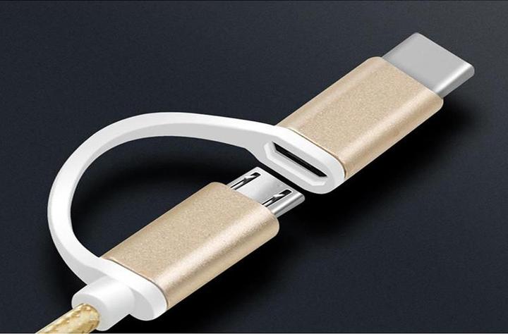 Produktbild Reekin Ladekabel 2in1 USB Micro & Type C (1 m, USB 2.0, 4 W)