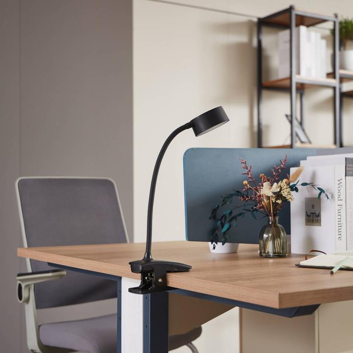 Image du produit Lindby Maori (300 lm)