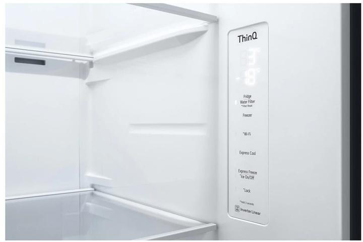 Actual product image LG Foodcenter GSJV70PZTE Platinum Silver (635 l)