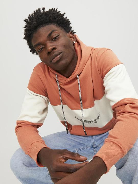 Immagine prodotto Jack & Jones Sweat Hoodie (L)