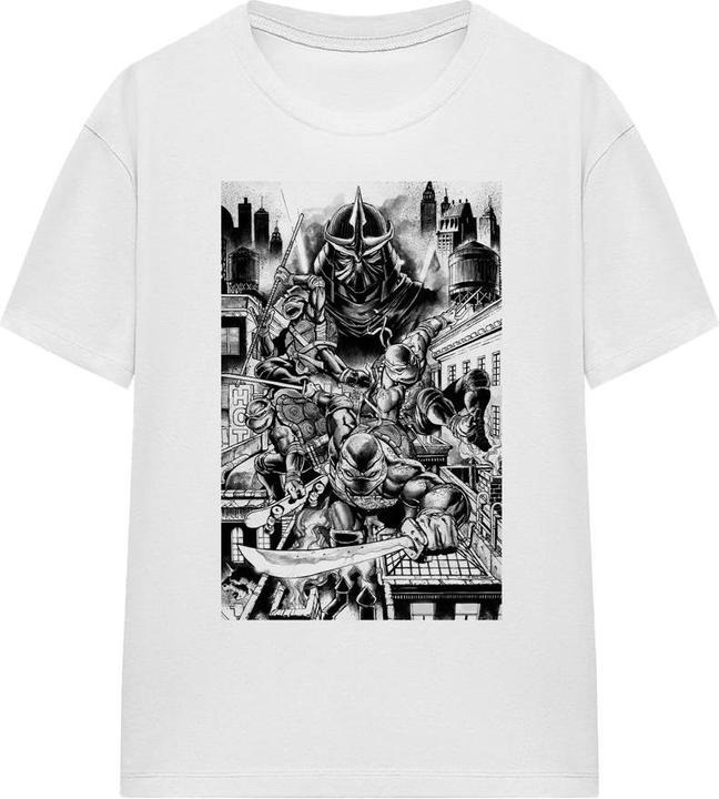 Teenage Mutant NT Take Down Shredder TShirt (S)