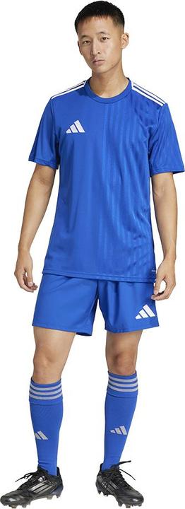 Actual product image adidas Tastigo25 Short (S)
