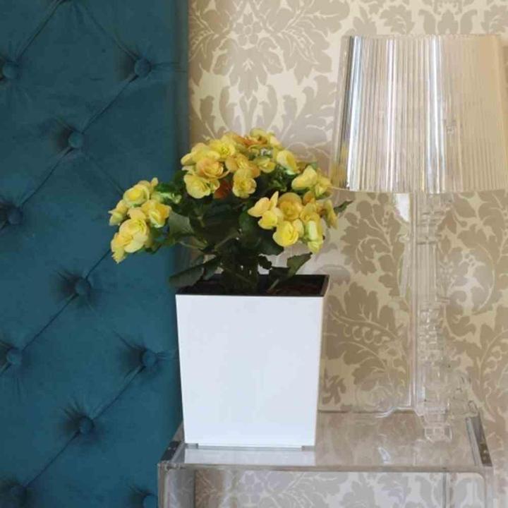 Immagine prodotto Siena Garden Modern (30 cm)