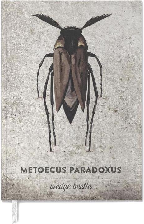 Immagine prodotto Juniqe Meteocus Paradoxus - (A5, Inglese)