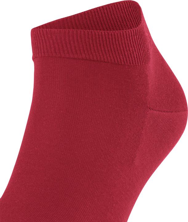 Actual product image Falke ClimaWool SN (Single pack, 41 - 42)
