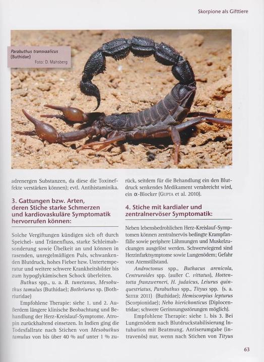 Produktbild Skorpione: Lebensraum, Haltung, Zucht (Deutsch, Rüdiger Lippe, Stephan Kallas, Dieter Mahsberg, 2012)