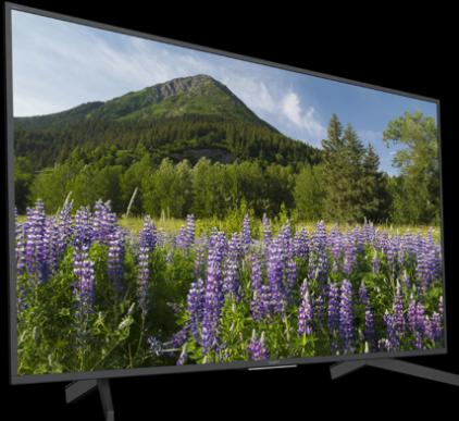 Immagine prodotto Sony Kd-49xf7005 (49", LCD, 4K, 2018)