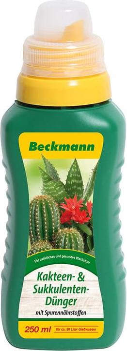 Beckmann Kakteen- & Sukkulentendünger (0.25 l)