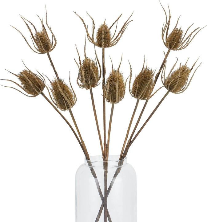 Image du produit Hill Interiors Kunstblume Dreifach (85 cm)