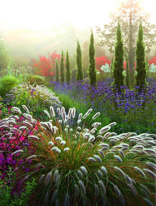 Produktbild Meine Vision wird Garten (Deutsch, Peter Janke, 2012)