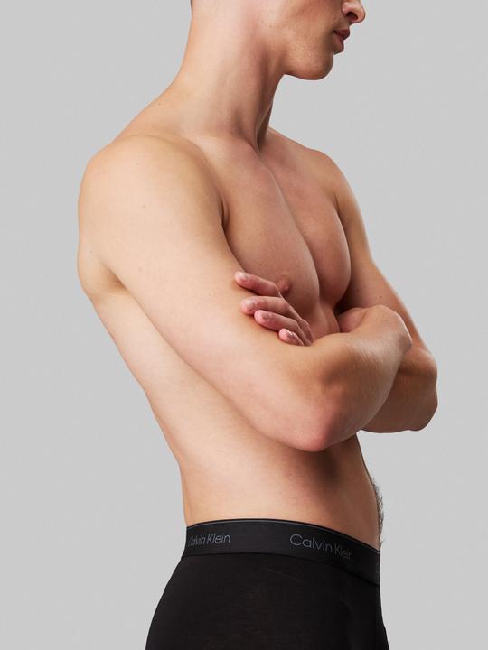 Immagine prodotto Calvin Klein Boxer Brief 3pk (XL)