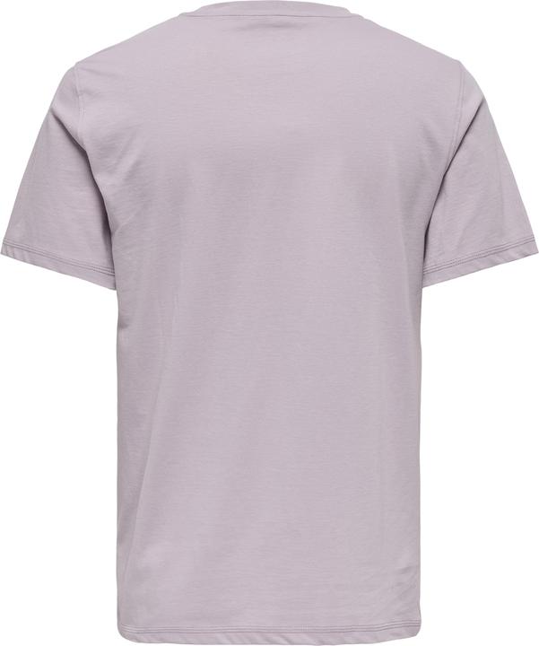 Actual product image Only & Sons Onsmax Life Reg Ss Stitch Tee Noos (L)