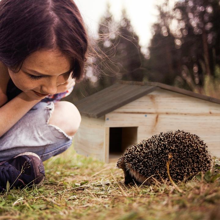 Actual product image Relaxdays Hedgehog house