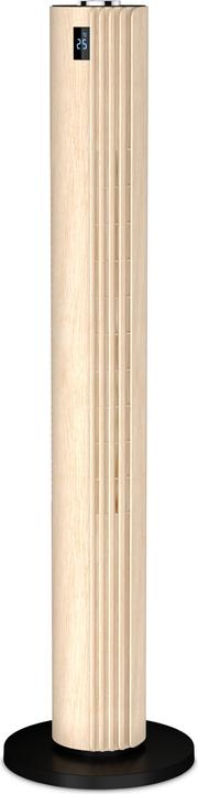 Image du produit Rowenta VU6770 (46 dB)
