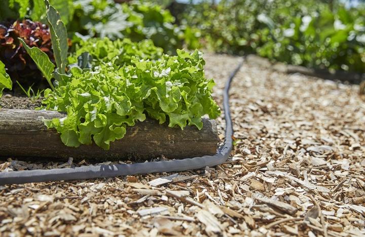 Produktbild Gardena Liano (10 m, 12.70 mm)