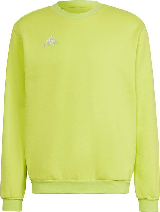 adidas Felpa Entrada 22 uomo